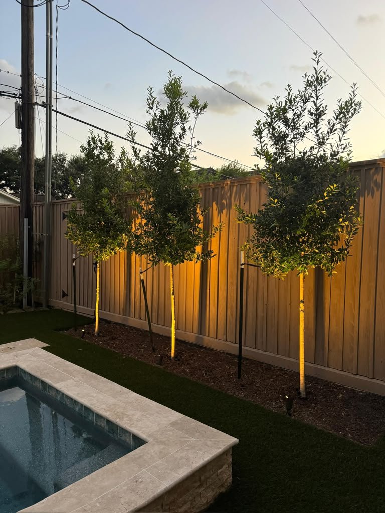 Nighttime landscape lighting highlighting plants and outdoor features